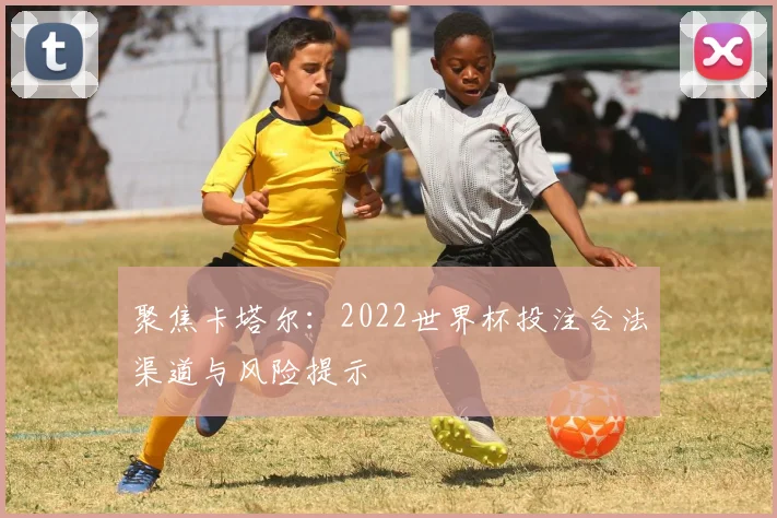 聚焦卡塔尔：2022世界杯投注合法渠道与风险提示