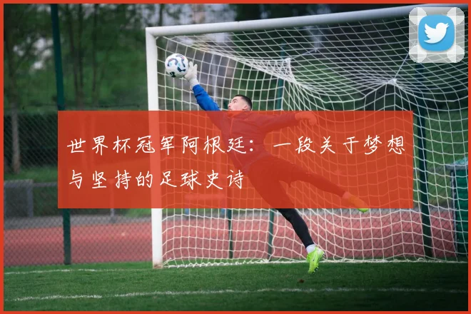 世界杯冠军阿根廷：一段关于梦想与坚持的足球史诗